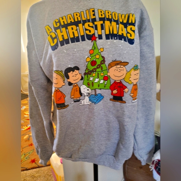 Hanes Other - Peanuts Charlie Brown Christmas Sweatshirt Size M Adult Unisex NWOT never worn!